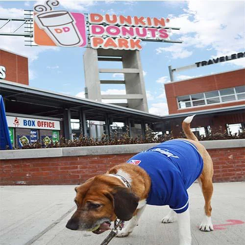 Hartford Yard Goats All Star Dogs Jersey - Image 3