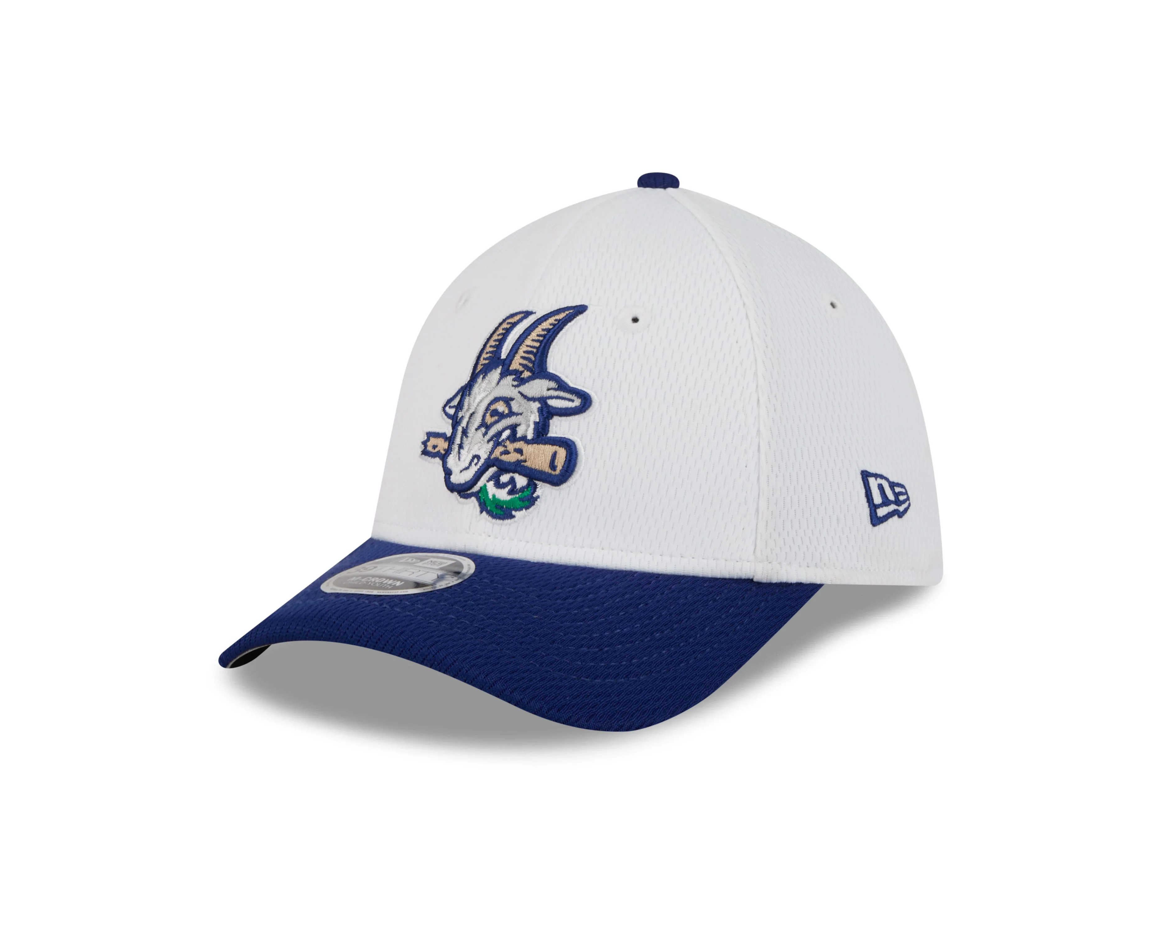 Hartford Yard Goats New Era 39Thirty Youth Stitches Cap