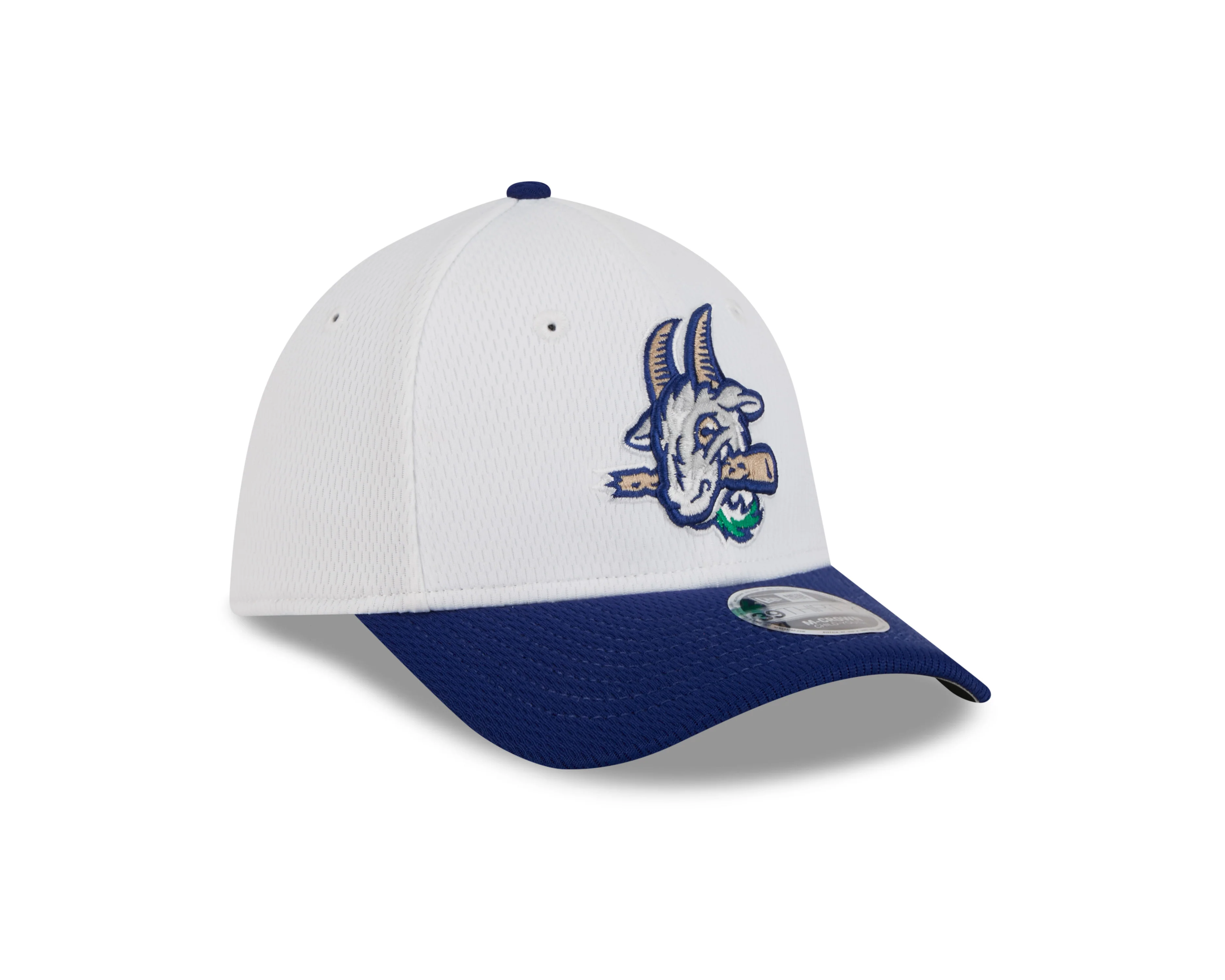 Hartford Yard Goats New Era 39Thirty Youth Stitches Cap - Image 4