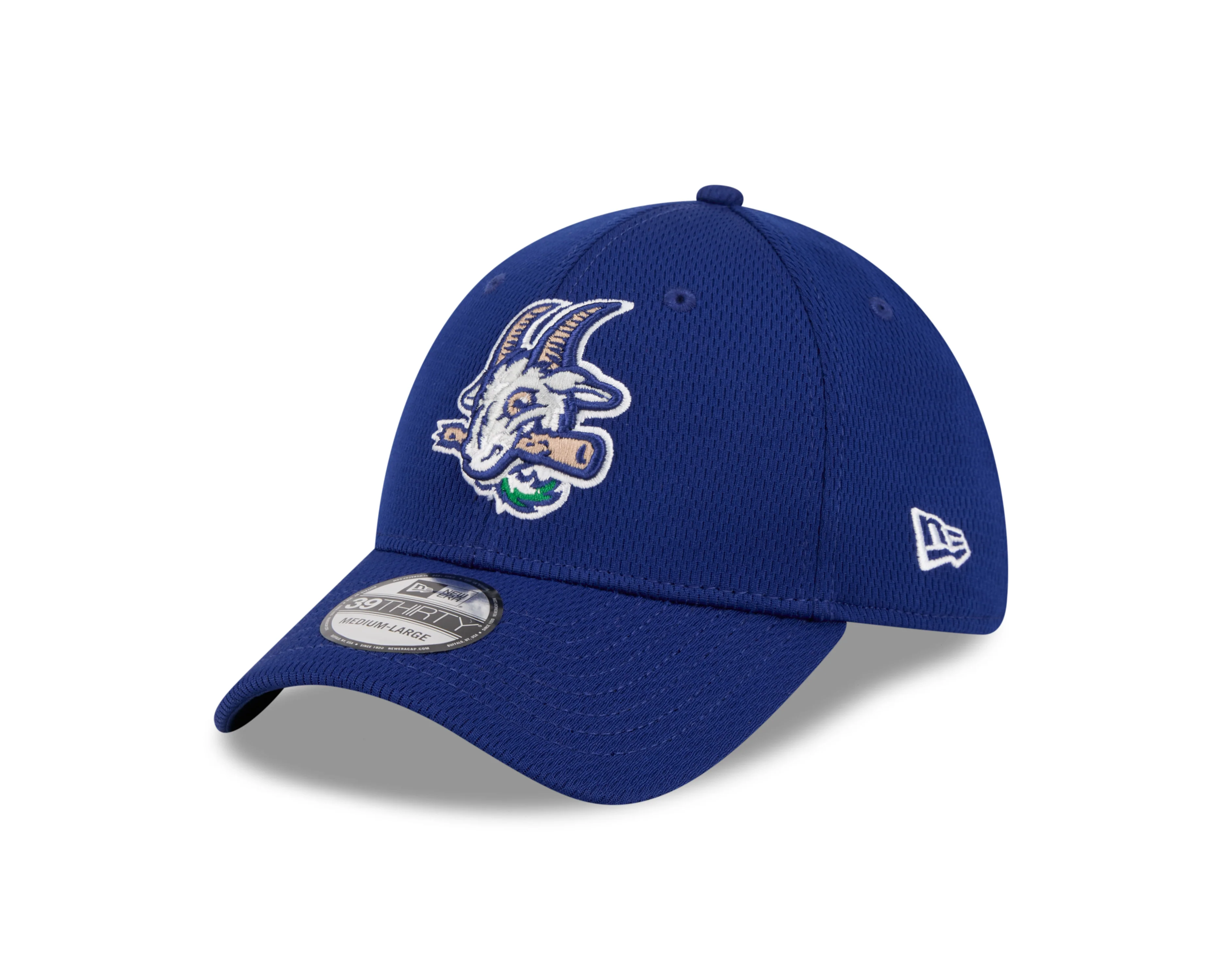 Hartford Yard Goats New Era Zip Flex Fit