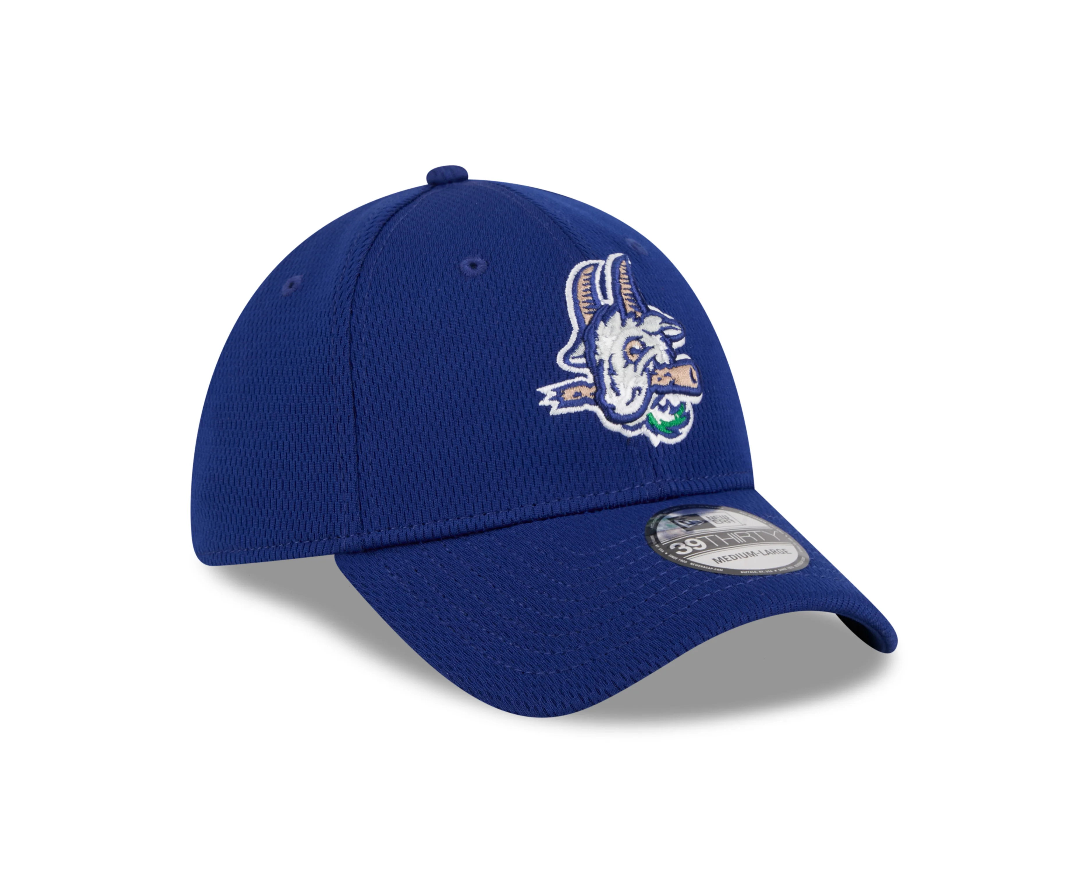 Hartford Yard Goats New Era Zip Flex Fit - Image 2